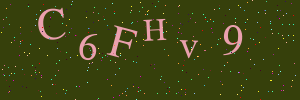 Validation image